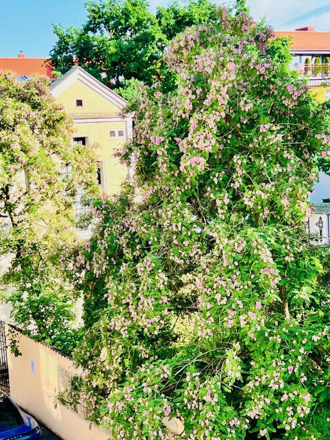 Super Apartment Old Town Клайпеда Екстериор снимка